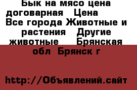 Бык на мясо цена договарная › Цена ­ 300 - Все города Животные и растения » Другие животные   . Брянская обл.,Брянск г.